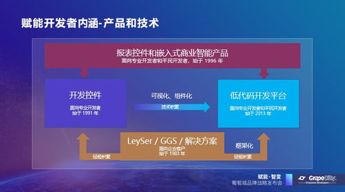 葡萄城發(fā)布新使命 賦能開(kāi)發(fā)者，驅(qū)動(dòng)業(yè)務(wù)創(chuàng)新